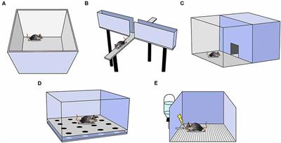 To Approach or Avoid: An Introductory Overview of the Study of Anxiety Using Rodent Assays